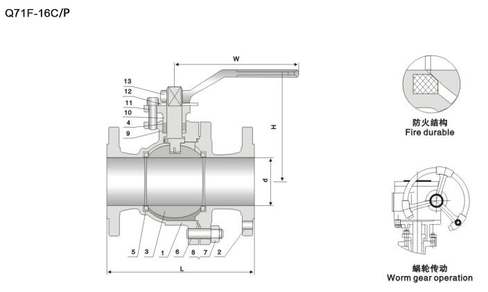 Q71F.jpg